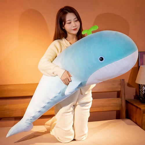  plush toy whale cashymart