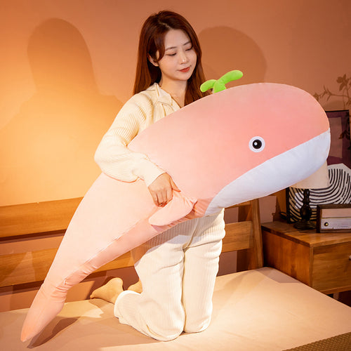  plush toy whale cashymart