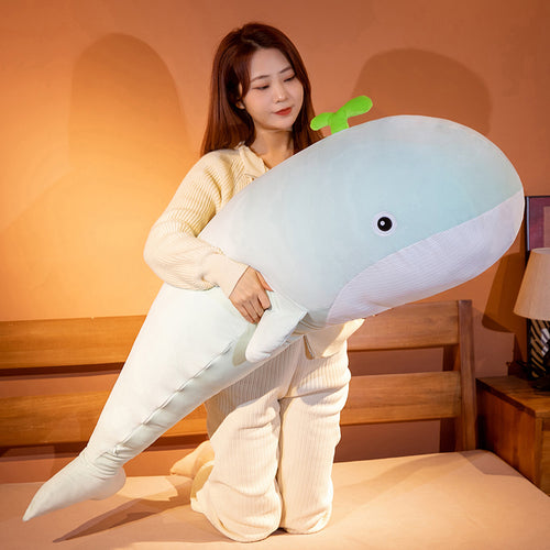  plush toy whale cashymart