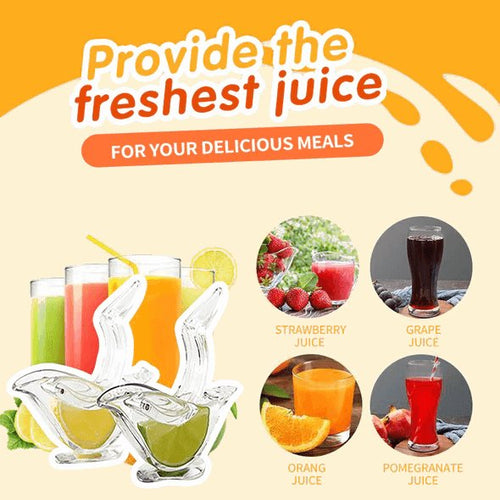  Ergonomic Lemon Press: Fresh Juice Made Effortless! cashymart