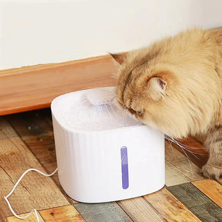  Fresh Automatic Pet Water Fountain cashymart