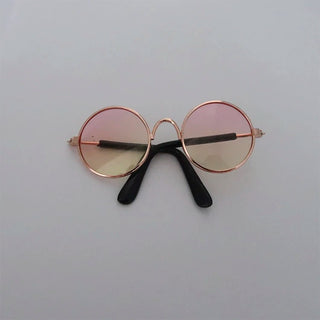  Cat Sunglasses cashymart