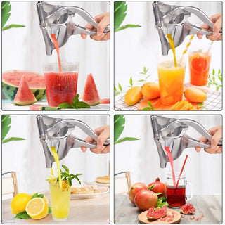  Fruit Juicer Squeezer cashymart