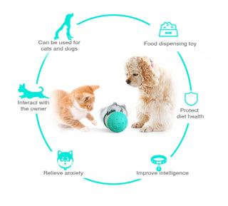  Pet IQ Toy cashymart