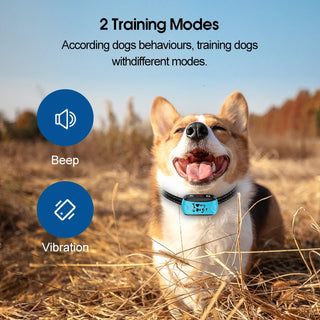  Humane Bark Control Collar for Small and Medium Dogs cashymart