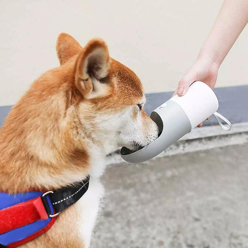  Hydration on the Go: MOESTAR Rocket Cup for Pets cashymart