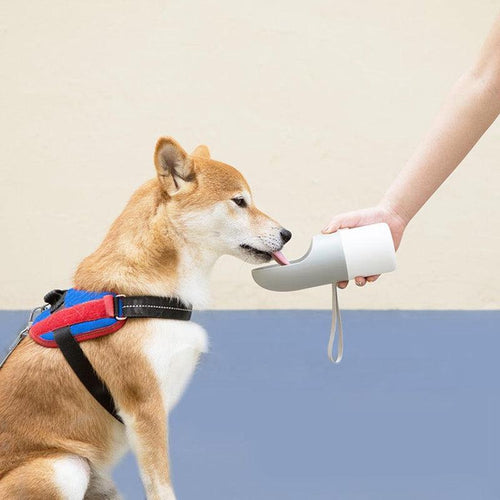  Hydration on the Go: MOESTAR Rocket Cup for Pets cashymart