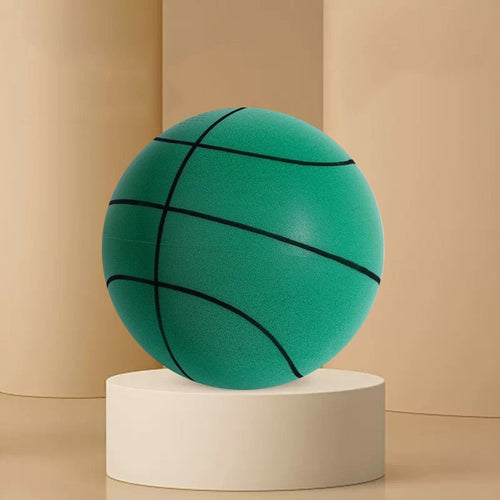  Indoor Mute Basketball cashymart