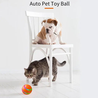  Interactive Intelligent Luminous Cat Toy cashymart