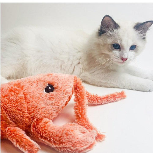  Interactive Jumping Shrimp: The Ultimate Pet Playtime Toy cashymart