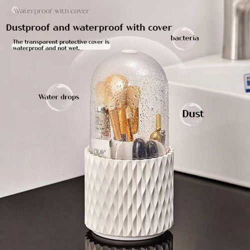  Makeup Brush Organizer cashymart