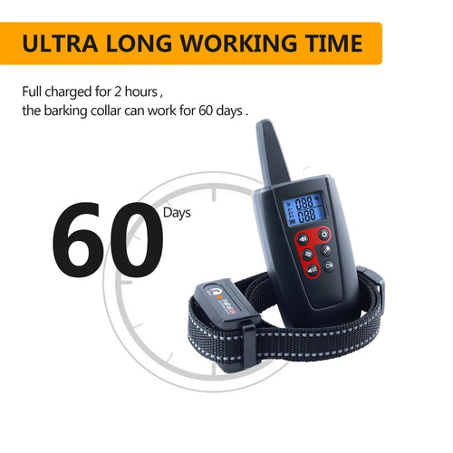  Pet training collar cashymart