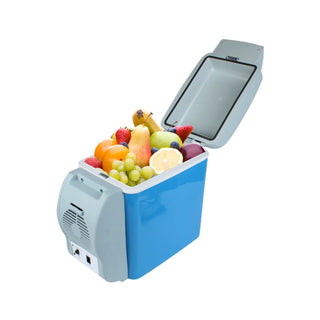  Portable Electric Cooler & Warmer for Car and Home cashymart