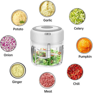  Mini Food Chopper cashymart