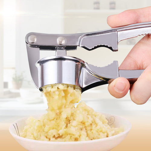  Stainless Steel Garlic Crusher cashymart