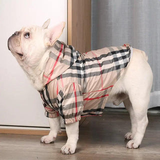  Stylish and Cozy Pet Hoodies cashymart