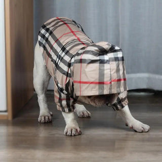  Stylish and Cozy Pet Hoodies cashymart