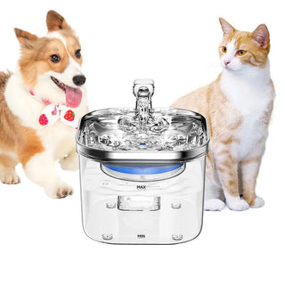  NPET Pet Hydration Fountain cashymart