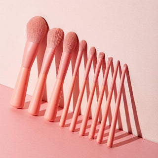  FEIYAN Brushes Pink  Brush set cashymart