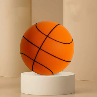  Indoor Mute Basketball cashymart