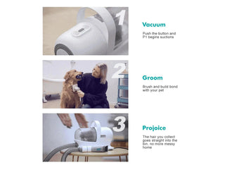  Vacuum Cleaner For Cats and Dogs cashymart