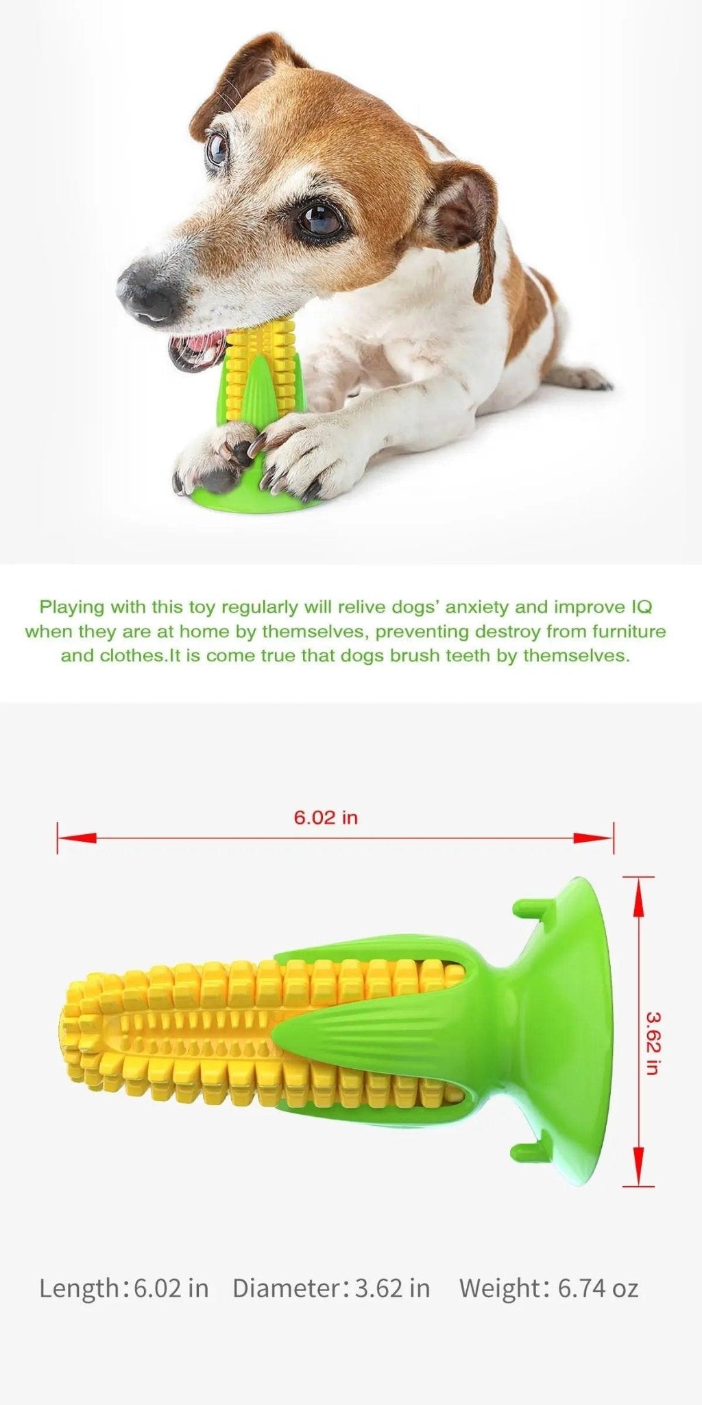  Pet Master Rubber Chew Dog Toy cashymart