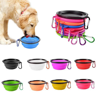  Pet Portable Folding Bowl Buckle cashymart