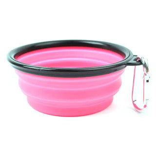  Pet Portable Folding Bowl Buckle cashymart