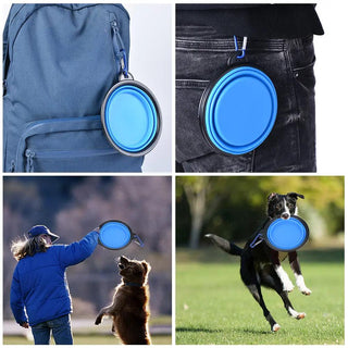  Pet Portable Folding Bowl Buckle cashymart