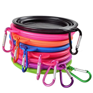  Pet Portable Folding Bowl Buckle cashymart