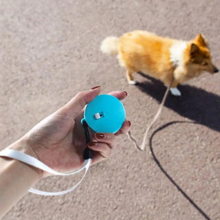  Retractable Mini Dog Leash cashymart