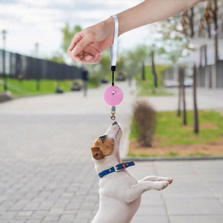  Retractable Mini Dog Leash cashymart