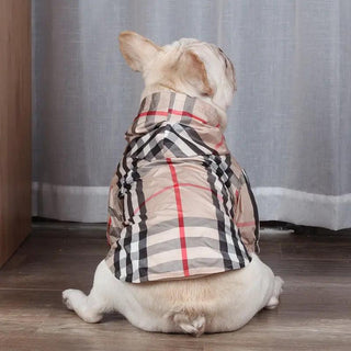  Stylish and Cozy Pet Hoodies cashymart