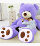 Teddy Bear Plush Toy